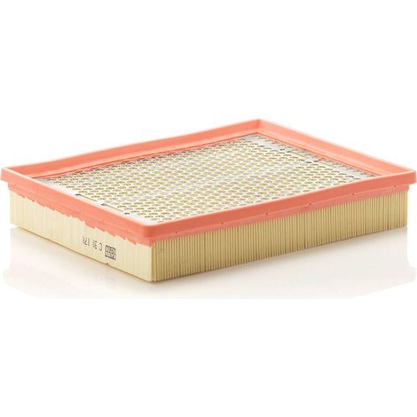Filtre à air Mann Filter C30170