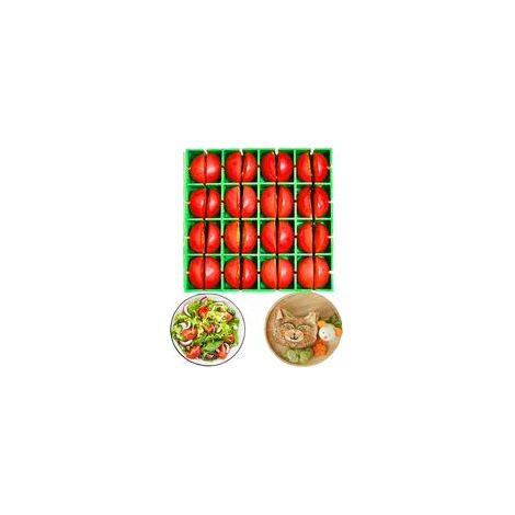Traubenschneider, Obstschneider mit 16 Fächern, Obstschneider für Kleinkinder, kindersicherer Obstschneider, Erdbeerschneider, Tomatenschneider, spülmaschinenfest für Kirschtomaten, Weintrauben und Sa (1/4)