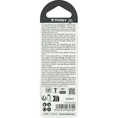 Tivoly • 1 Fresa Diamond Dry Technic Ceram, Ø 6 mm