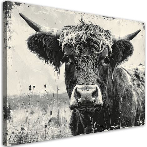 Leinwandbild Schottische Kuh schwarz-weiß Vintage 60x40 (1/5)