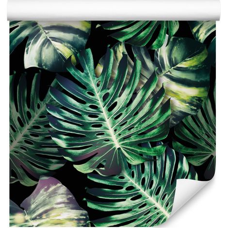 Papel pintado con estampado de hojas de monstera tropical para salón y dormitorio, 50x1000 cm. (1/5)