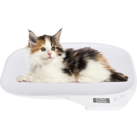 Balance Numérique Pour Animaux de Compagnie et Bébés - 4 Modes de Pesée, Pour Chat et Petit Chien Jusqu'à 15 Kg, Compatible Cuisine (1/5)