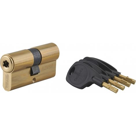 Cilindro europeo Surveyor 31 x 31 mm, ottone, anti-estrazione, 4 chiavi – THIRARD (1/5)