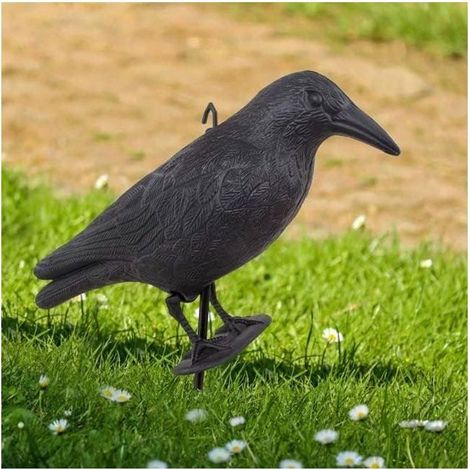 Corbeau Noir, Répulsif Pigeons en Plastique, Corbeau Assis 1X Corbeau - Répulsif Oiseaux & Balcony Decoration, Naturel Antiparasitaire Protection Repousser, Effrayeur d'oiseaux, Épouvantail (1/2)