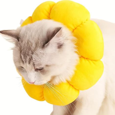 Collier de Récupération pour Chat, Collerette Réglable Post-Opératoire Tournesol (1/5)