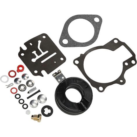 Johnson 18-75 PS Außenbordmotor-Vergaser-Reparatursatz 398729 - 22-teiliges Set (1/5)
