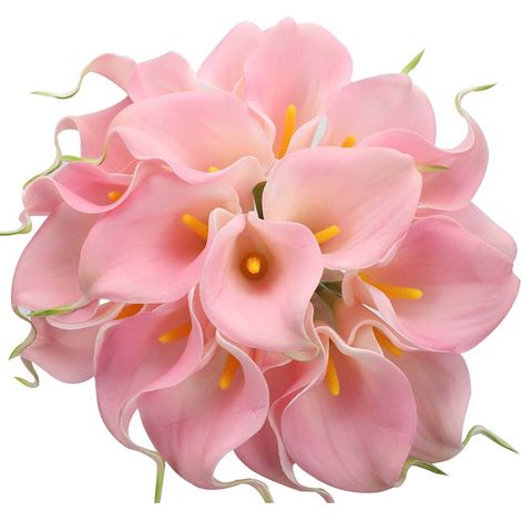 Bouquet de mariée en 20 pièces de lys calla, fleurs artificielles en latex au toucher réaliste, pour la décoration de la maison et des fêtes (rose) (1/5)