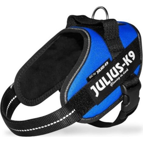 Julius Arnés para Perros IDC 0 Azul