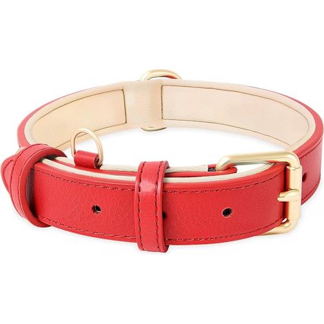 HEELE Collier pour Chien, en Cuir, Collier de Chien Ajustable Coussin Moelleux Cuir Nouvelle Couleur de Rembourrage pour Petits, Moyens ou Grands Chiens, Nouveau Rouge, S (1/5)