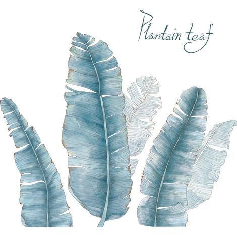 Stickers muraux en forme de feuille de bananier (Dimensions : 91 cm x 75 cm) (1/5)
