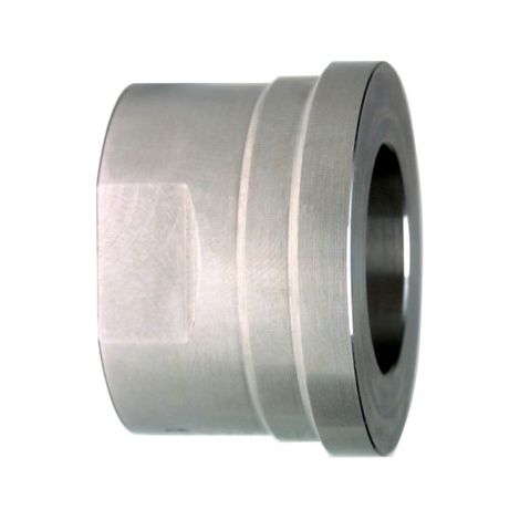 Insert GF 1.4404 3/8" IG - d 16