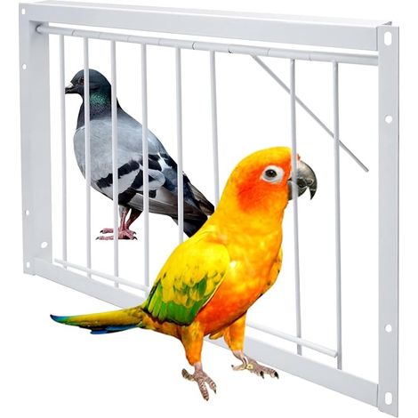 Porte de Cage pour Pigeon d'entrée pour Pigeons 40x26cm T-Barre de Course d'entrée Cage en Fer de Maison pour Oiseaux (1/3)