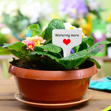 100 étiquettes de jardin PVC blanc, marqueurs de plantes pour potager, signes d'identification en plastique, fiches d'écriture pour jardinage. (1/5)