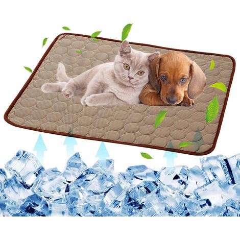 Tapis Rafraîchissant Pour Chien - Tissu Nylon Rafraîchissant Sans Eau Ni Électricité - Pour Chiens et Chats - 70 x 100 cm - 275 g (1/5)