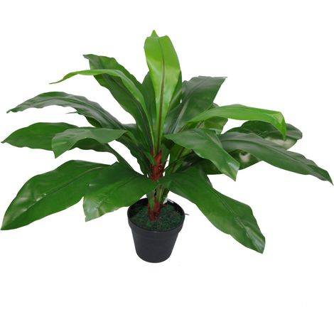 60cm Bushy Large Artificial Bird's Nest Fern Plant (1/4)