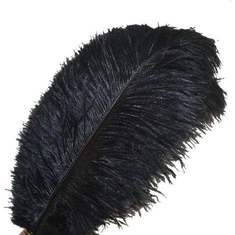 Plume D Autruche - 30 à 35 cm - Décoration Intérieure Mariage Création Artisanale - Lot de 10 (1/5)