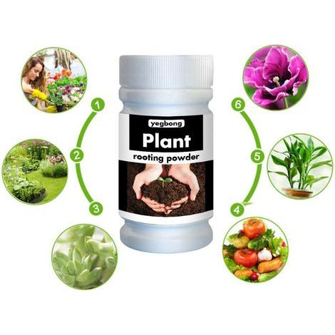 Schnellwurzelpulver für Pflanzen und Blumen, Wachstumsstimulans, Dünger für Stecklinge, verbessert das Anwachsen und die Blüte (1/5)