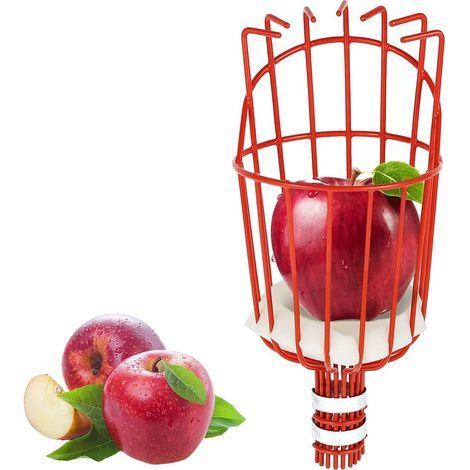Cueille Fruits métallique avec Griffe, Outil de cueillette de Fruits métal, Outils de Jardinage pour récolte de Pommes, Agrumes, Poires, Pêches (1/5)