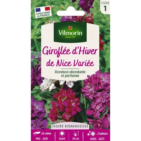 Giroflée d'Hiver de Nice Variée Vilmorin