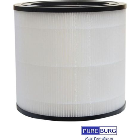 Filtres HEPA de rechange compatibles Philips série 600 AC0650 (lot de 2) (1/4)