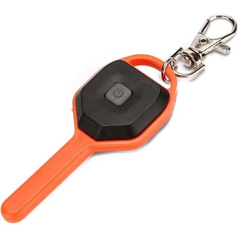Mini lampe de poche en forme de clé - Mini porte-clés étanche - Petit porte-clés LED - Mini lampe de poche LED - Pour camping, randonnée, lampe de poche (1/5)
