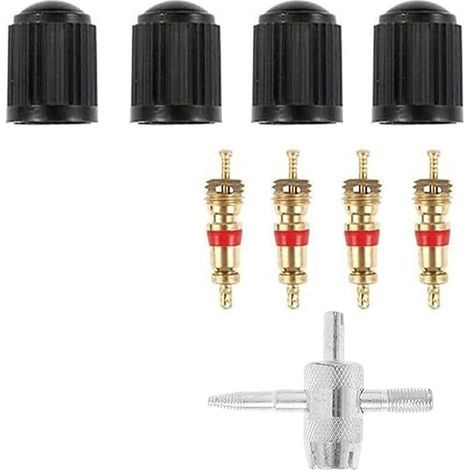 Demonte Obus Valve Outil Clé Capuchons Embouts Vélo Voiture Moto Camion (1/5)