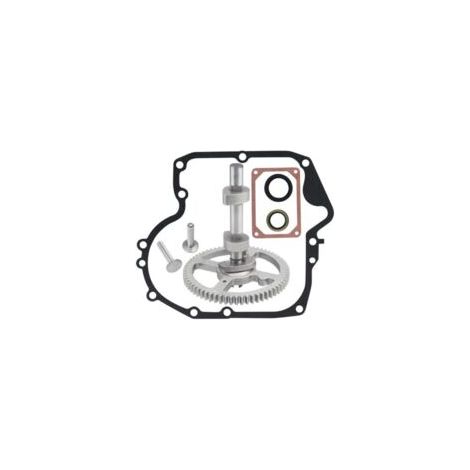 Arbres à cames, remplaçables par les arbres à cames modèles Briggs & Stratton 793880, 793583, 792681, 791942 et 795102. (1/4)