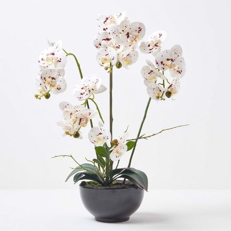 HOMESCAPES Künstliche weiße Phalaenopsis-Orchidee im schwarzen Keramik-Topf, 62 cm