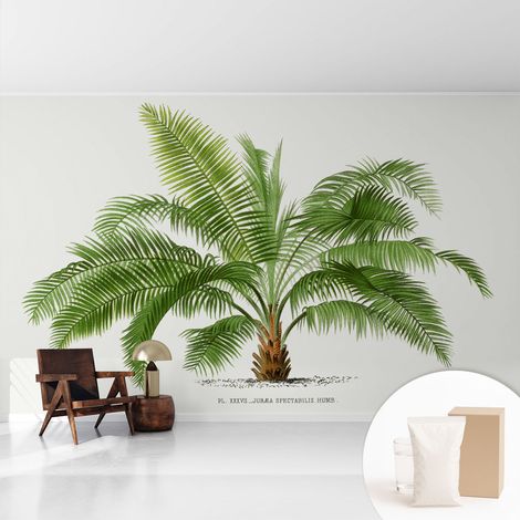 Fototapete Tapete Vliestapete mit Kleber - trendige Wanddeko - Schlafzimmer - Wohnzimmer Glänzende Palme 416x254 cm (1/5)