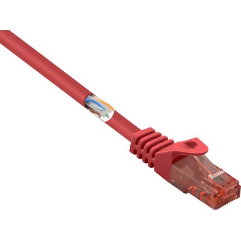 Renkforce RF-5047416 RJ45 Câble réseau, câble patch CAT 6 U/UTP 0.50 m rouge avec cliquet d'encastrement, ignifuge 1 pc(s) S524762 (1/4)
