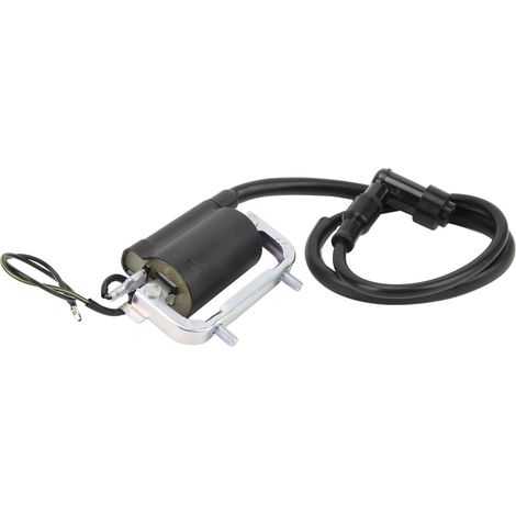 Aramox Mini-Zündspule für Fahrräder, Zündspule für Mini-Motorräder mit Kappe 30530 126 921 für CT70 Trail Bike 1969-1982
