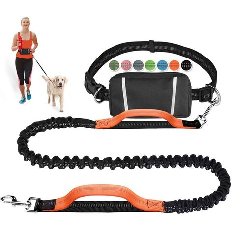 Retractable elastic hands-free dog leash for running, jogging, training, and hiking with medium to large dogs, belt pouch (1/5)