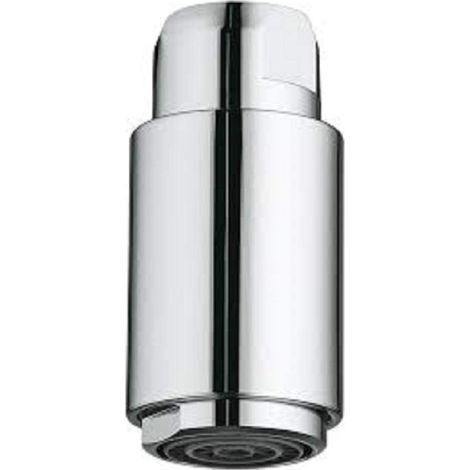 GROHE 46925000 46925000-Alcachofa Extraíble Profesional Para Fregadero Minta Boca, Argent