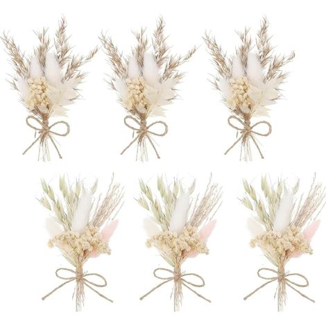 6 Pièces Mini Bouquet Fleurs Séchées, Mini Fleurs Séchées pour l'artisanat, Petit Bouquet pour Cadre Photo DIY, Décoration de Fête à Domicile et de Mariage (1/5)