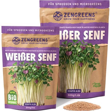 Bio Keimsaat Weißer Senf 500 g Sprossen und Microgreens ZenGreens