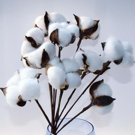 LATRAT Lot de 10 branches de fleurs artificielles décoratives en coton naturel pour balcon, maison, table, composition florale (1/5)