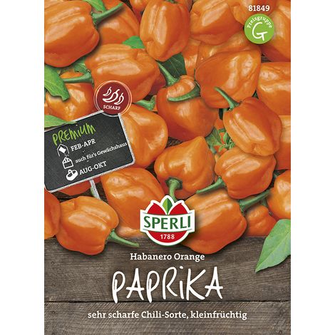 Sperli – Piment Habanero Orange (Capsicum chinense) – Graines de légumes, très fort, hauteur env. 40 cm (1/2)