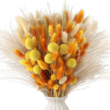 128 Pièce Pampas Sechees Décoration Orange Bouquet Fleurs Séchées (1/5)