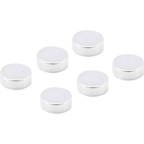Jeu d'Aimants Extrapuissants D.8 mm - 6 pcs - Forte Attraction Magnétique - D-Work (1/5)