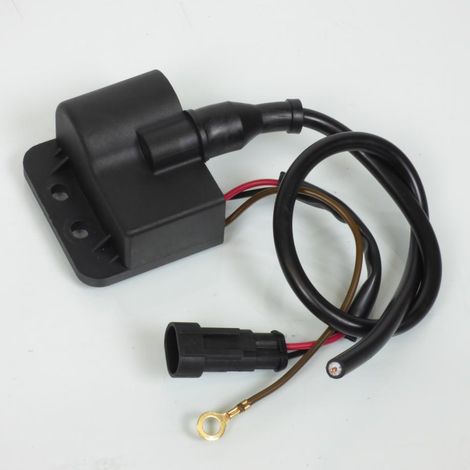 bobina di accensione ht p2r per moto rieju 50 rr 1999 al 2020 (1/3)