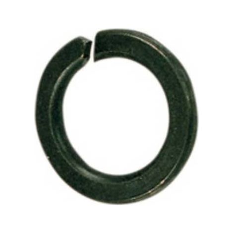 5 x SC RONDELLA GROWER D 10 MM DA  80 PZ