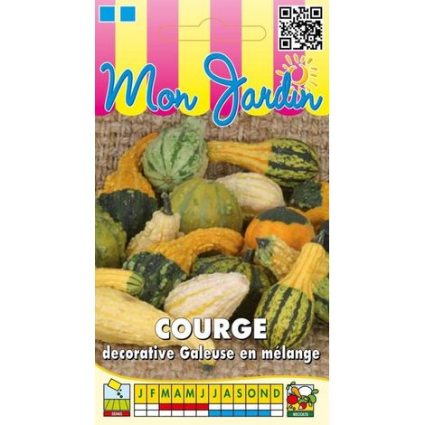 Courges décoratives galeuses en mélange - 3g