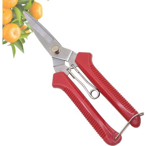 Garden Pruning Shears, Heavy-Duty Pruning Scissors, Ergonomic Rustproof Garden Pruning Shears for Hedge Trimming with Precision Cutting (1/5)