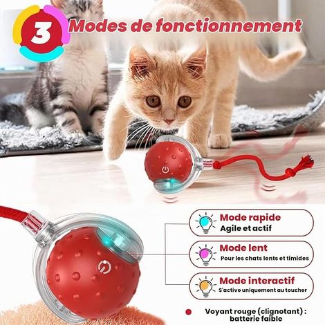 Cat Ball Toy, Motion Activated Electric Rechargeable Cat Ball, Indoor Cat Toys (1/4)