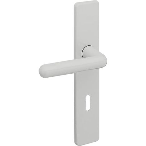 Jeu de plaque 8800 ARCOLOR clé L gris VACHETTE 009027