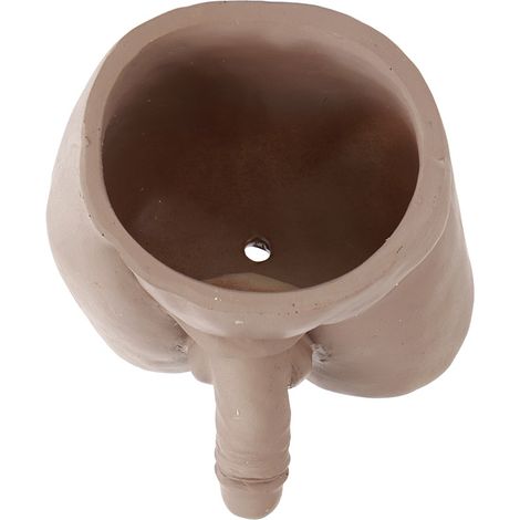Interessanter Blumentopf als Geschenkidee – Blumentopf für kleine Zimmerpflanzen und Sukkulenten – Wohndekoration (1/5)