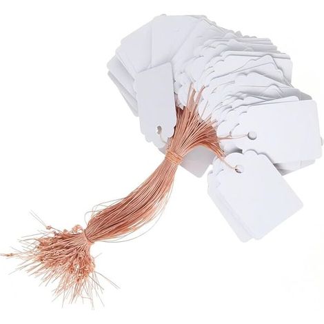 Étiquettes de plantes, 100 pièces étiquettes de jardin en plastique imperméables blanches avec ficelle, étiquettes de semis réutilisables, étiquettes de plantes inscriptibles résistantes (1/4)