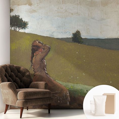 Papier peint intissé décoratif pour chambre et salon Design moderne à poser facilement - Colle incluse gratuite Scène paisible 250x250 cm (1/5)