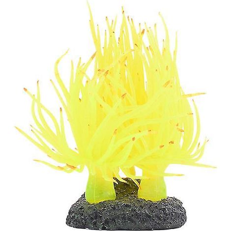 Nouveaux accessoires pour aquarium (1 pièce) (1/3)