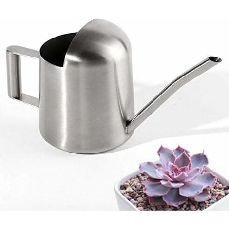 Mini Arrosoir de Jardin en Acier Inoxydable pour la Maison et Bureau Plantes-Fei Yu (1/4)